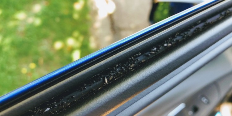 how to get rid of ants in your car